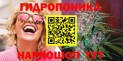 прущие грибы Ликино-Дулёво