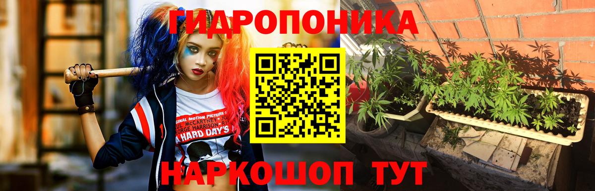 Конопля AK-47  Канабис Bruce Banner  Звенигород  Вход с VPN  Бошки марихуана Ganja 